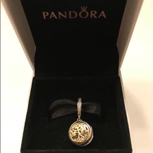 Pandora family forever charm